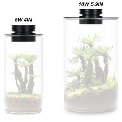 AREPK humidity control ring enabling adjustable moisture in terrariums.