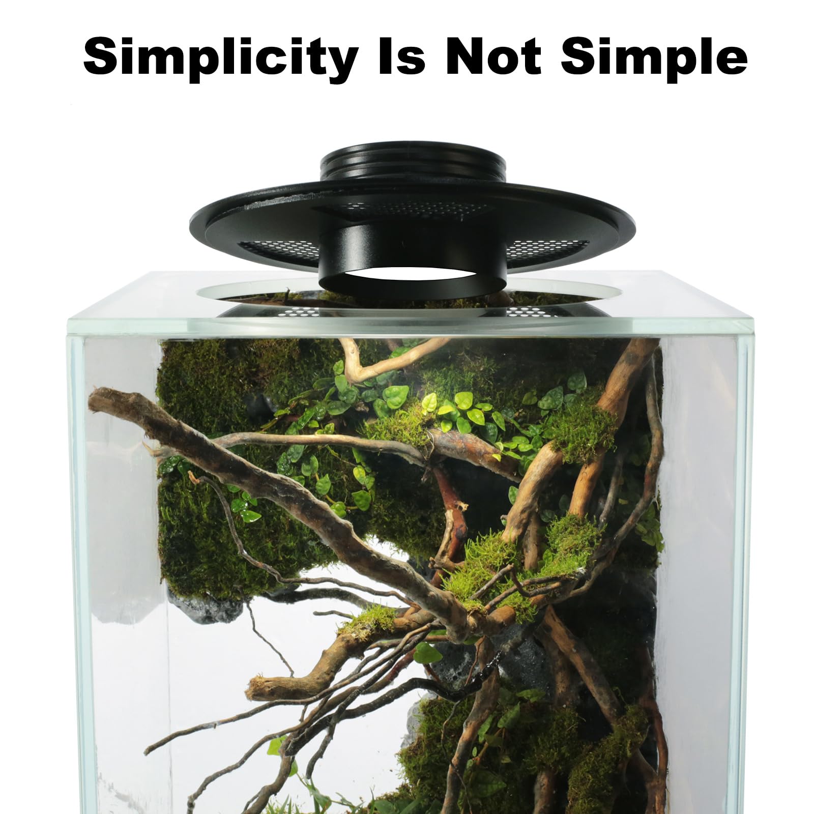 AREPK LED terrarium light over a betta tank provides vivid color.