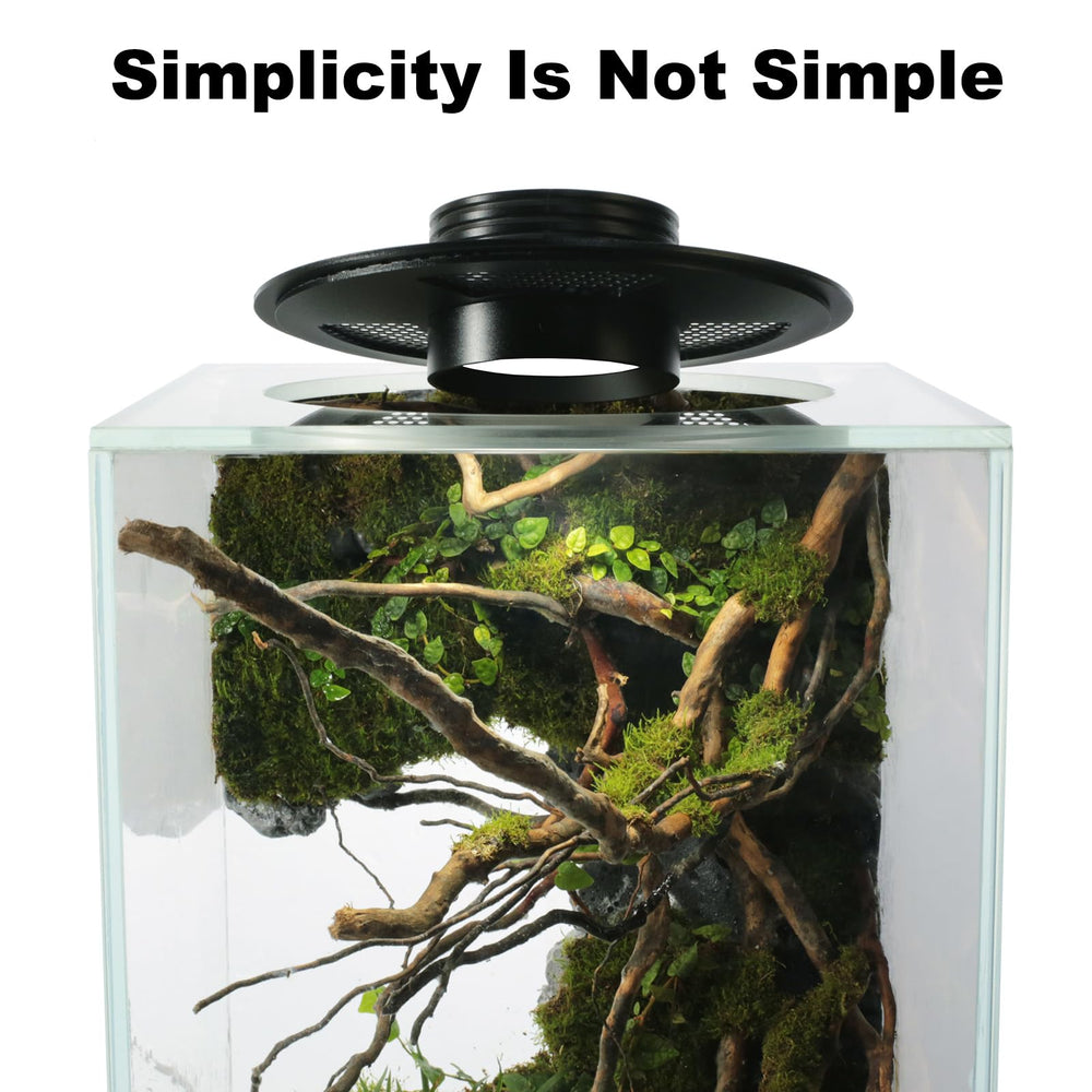 AREPK LED terrarium light over a betta tank provides vivid color.
