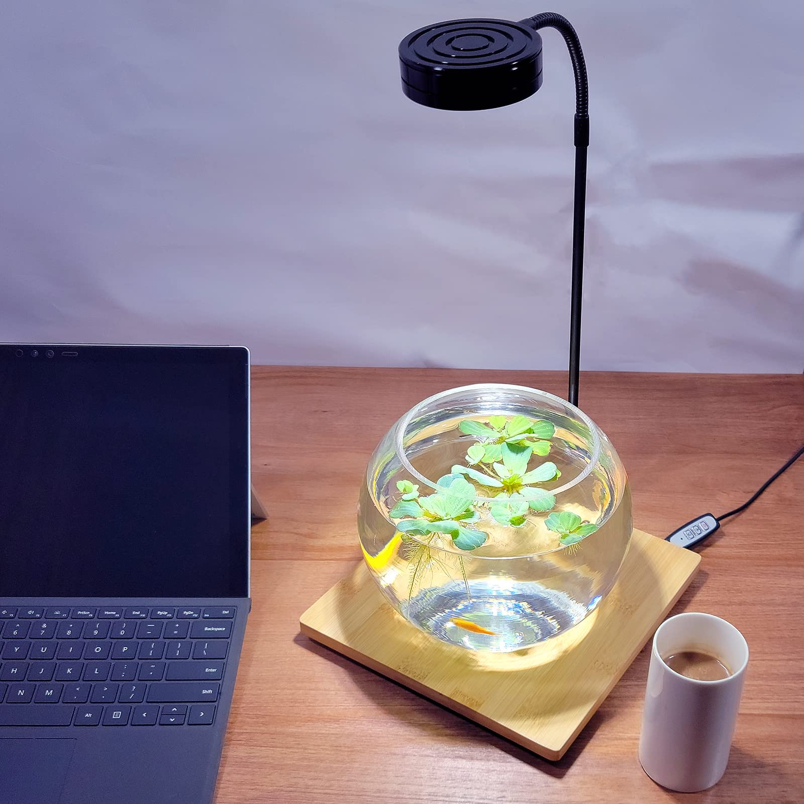 AREPK USB Powered Lamp can run from laptop, desktop, or power bank.
