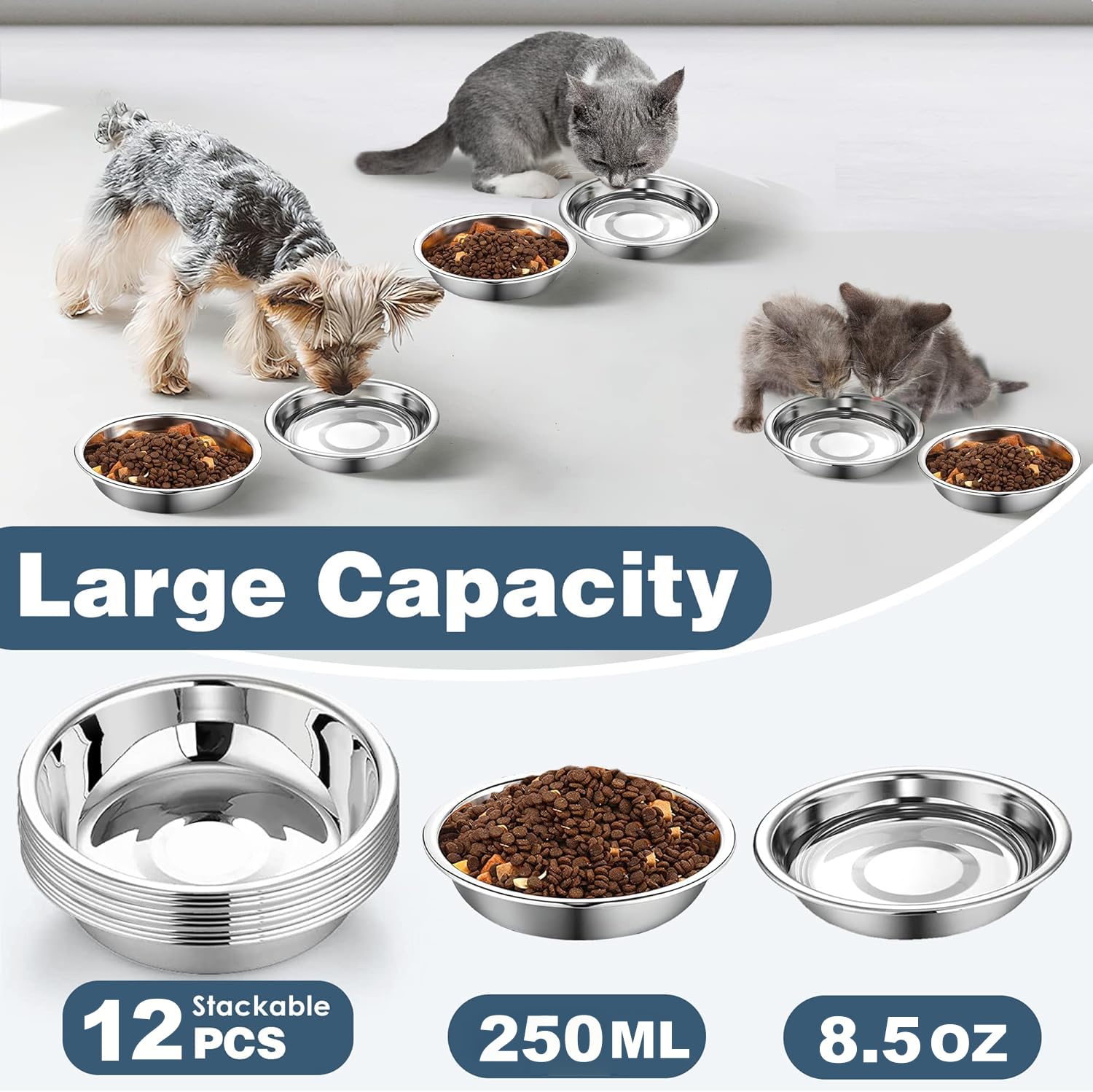 Arespark 5.5-inch shallow cat bowls with whisker-friendly design for comfortable meals.
