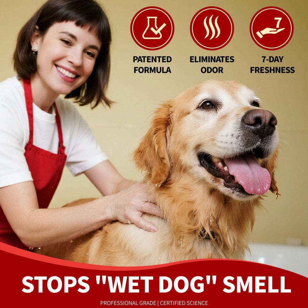 Wheat germ oil hydration adds softness and coat resilience in Arf Arf shampoo