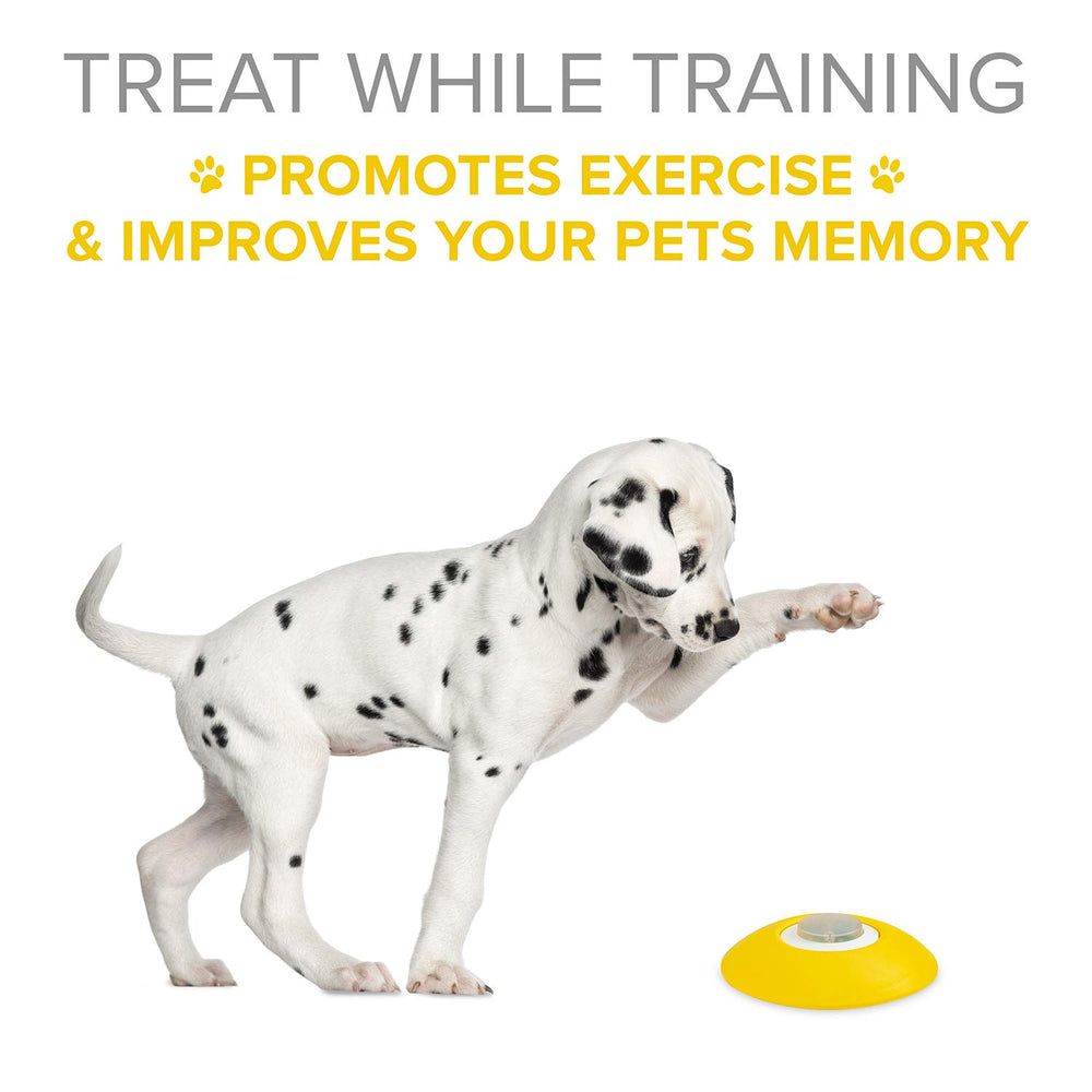 Arf Pets memory training toy engages dogs with mentally stimulating play.
