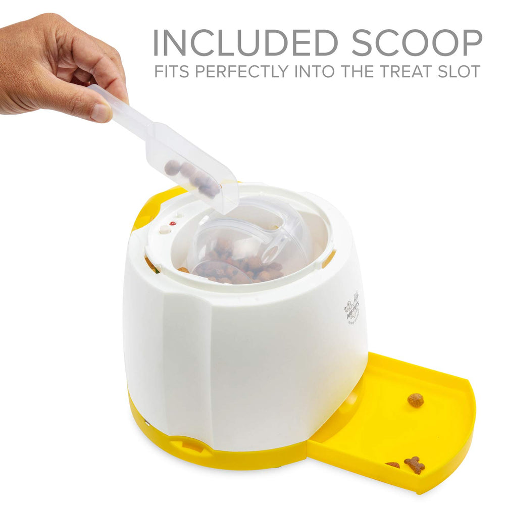 Arf Pets one-on-one-play supports focused training and bonding with your pet.