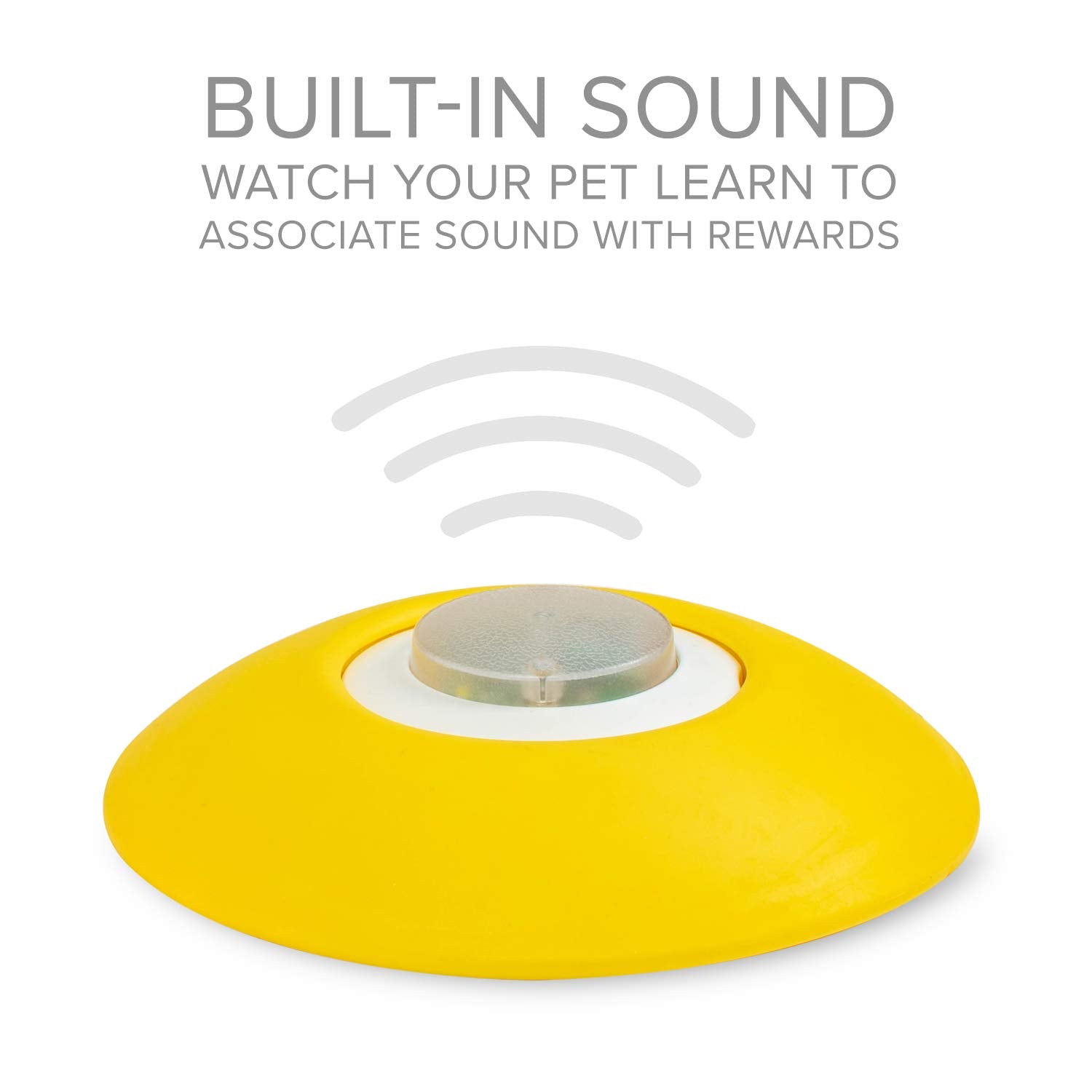 Arf Pets staking-peg-outdoor-use enables outdoor or porch training sessions.