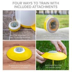 Arf Pets suction cup-attachment keeps the dispenser secure on glass doors.
