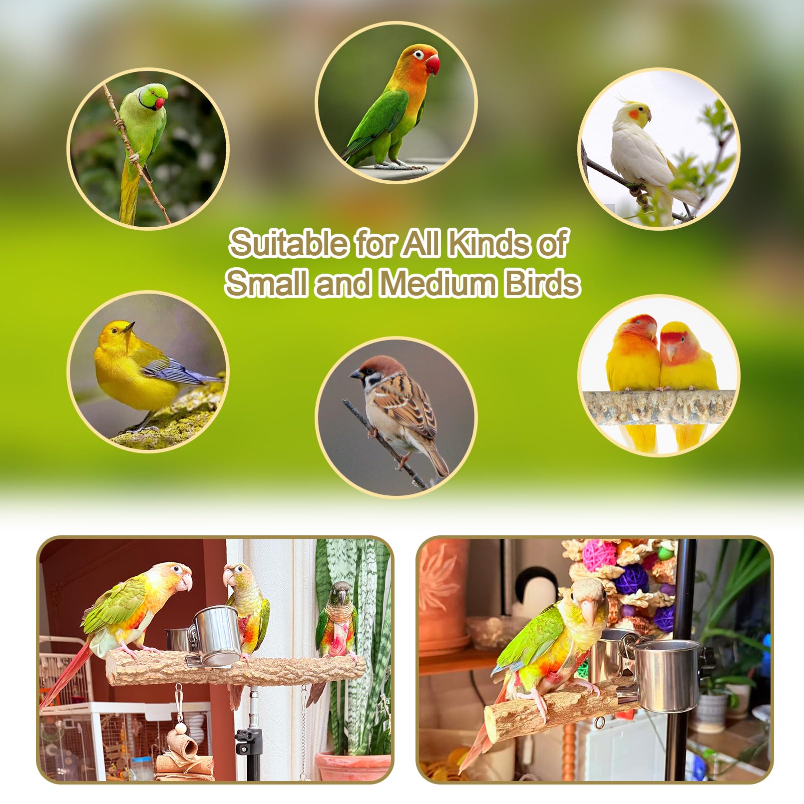 Arfubye indoor-outdoor perch suitable for rest, play, and training.