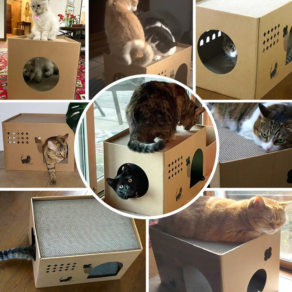 ARGOPET cat cardboard house with built-in scratching pads for exercise.