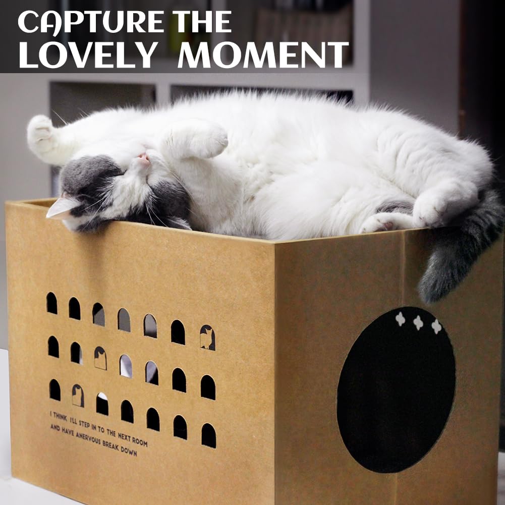 ARGOPET cat cardboard scratch surface is double-walled and durable.