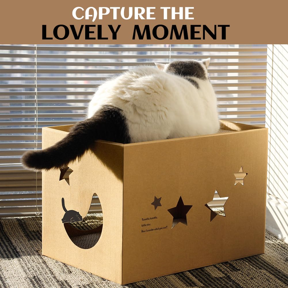 ARGOPET catnip cue encourages curiosity and scratching in star design.