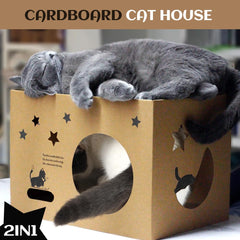 ARGOPET wide entrance cat house allows easy entry and exit for larger cats.