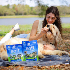 Ark Naturals USA-made dental chews using high-quality ingredients.