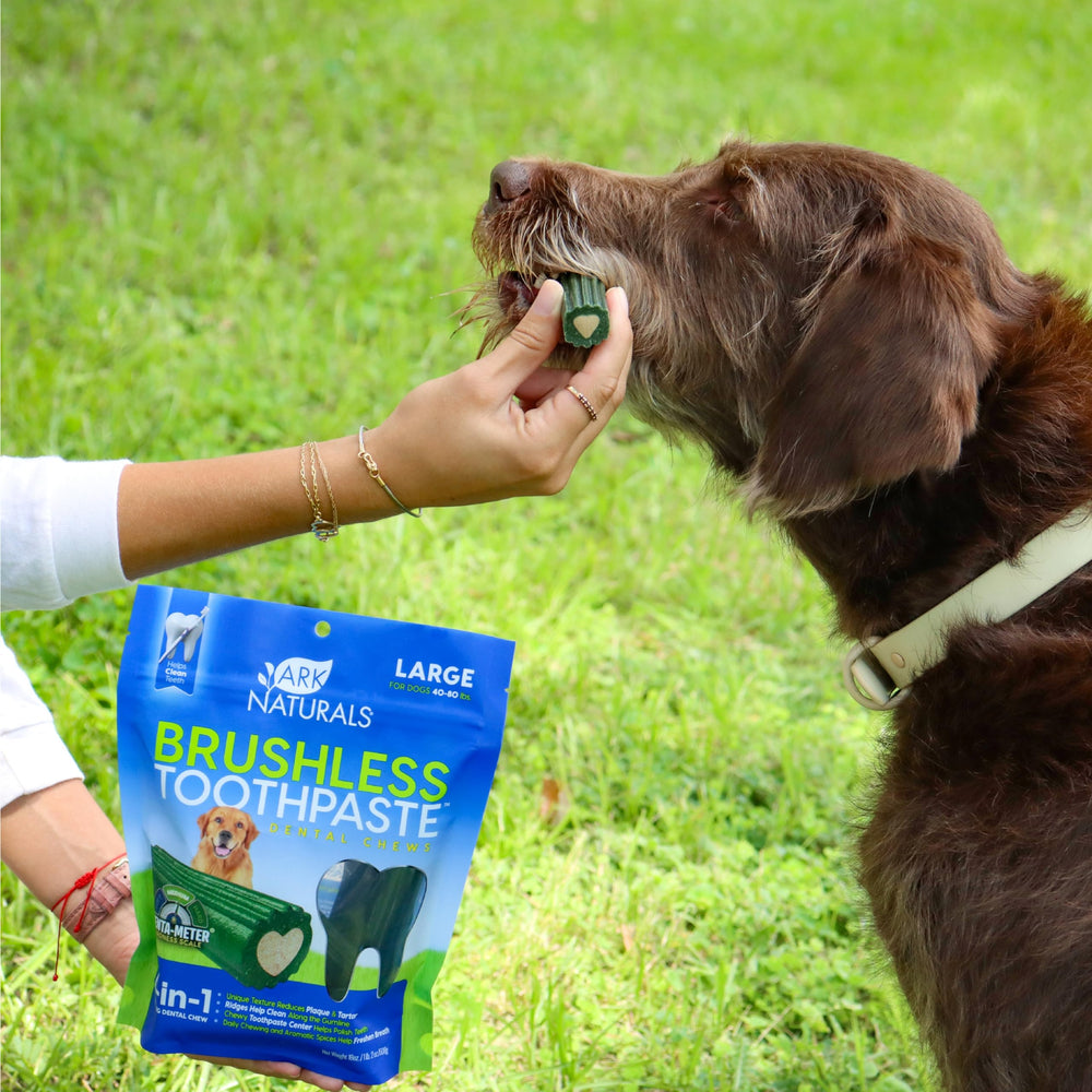 ARK NATURALS spices for breath-freshening during chewing.