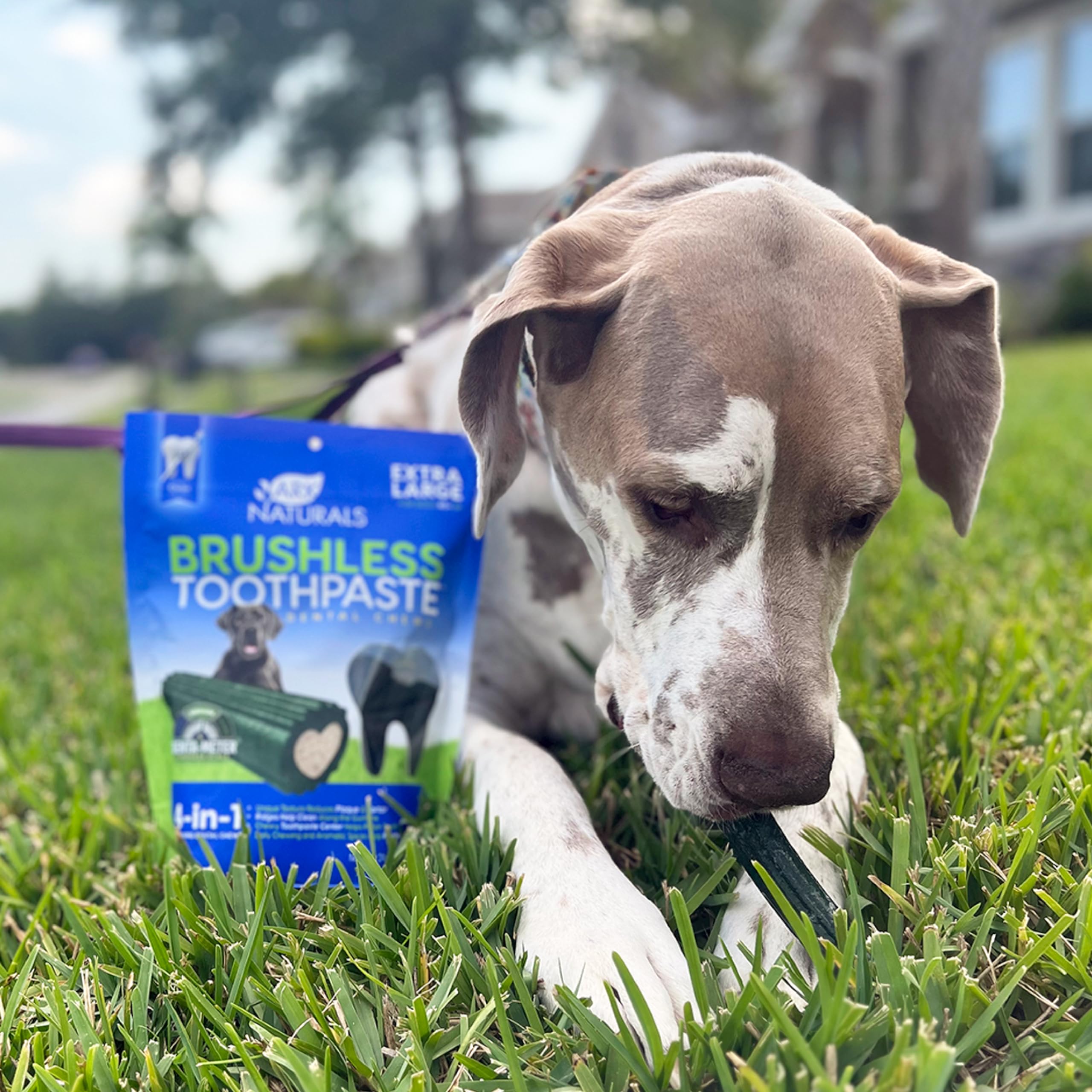 Ark Naturals Brushless Toothpaste 24 oz bag highlights suitability for extra large breeds.