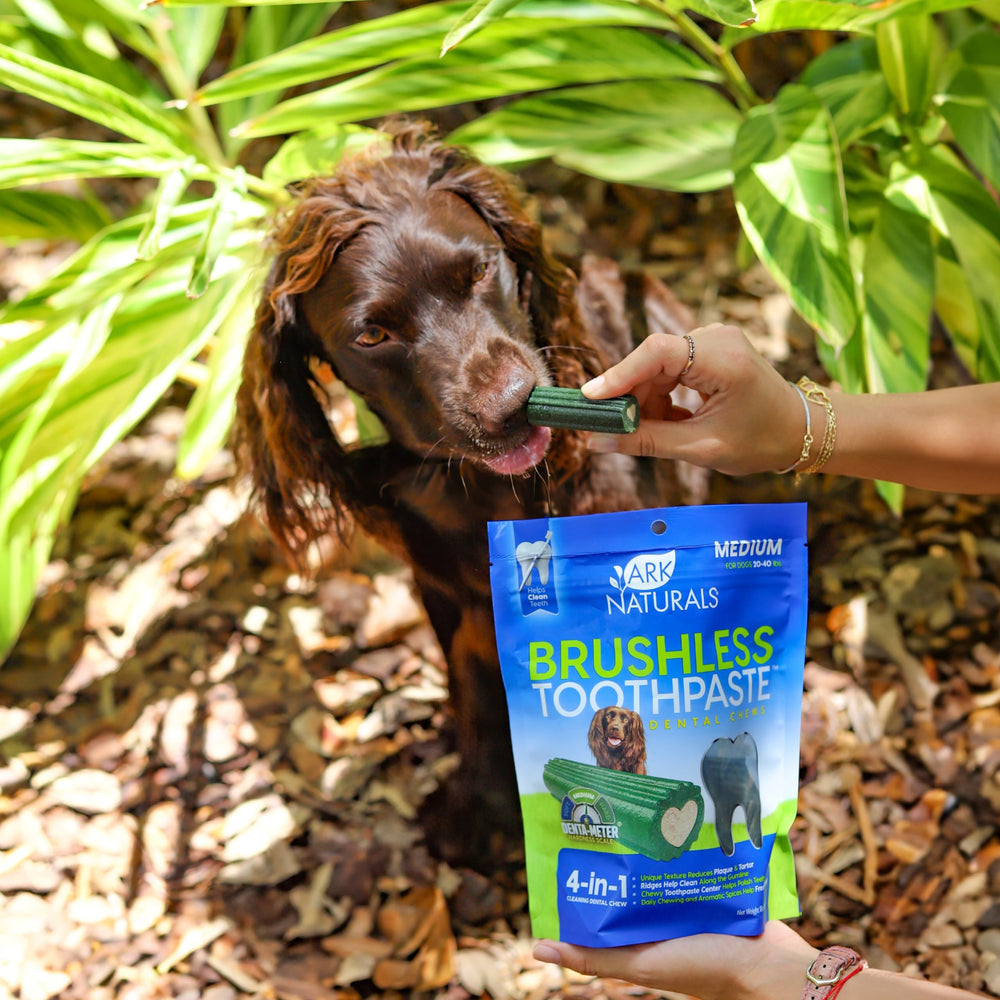 ARK NATURALS Brushless Toothpaste breath-freshening effect shown in action.