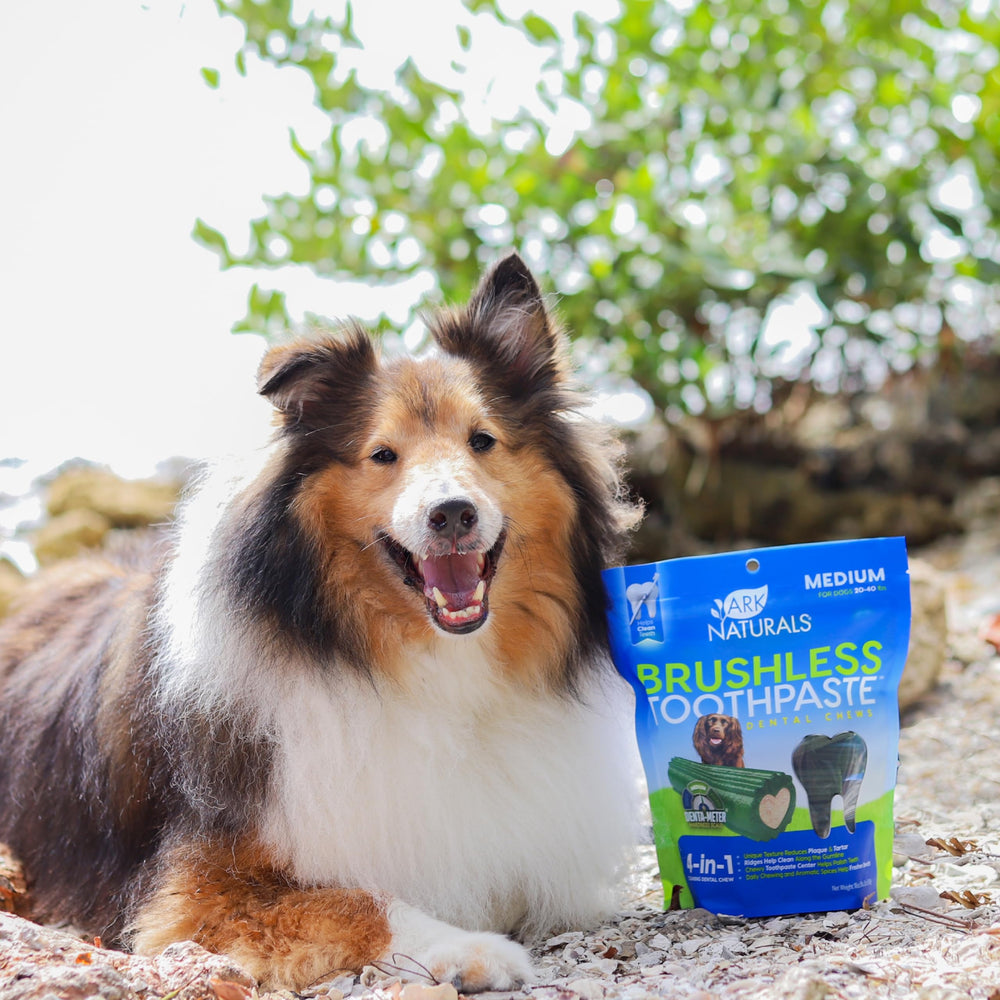 ARK NATURALS Brushless Toothpaste dog enjoying chew looks like a treat.