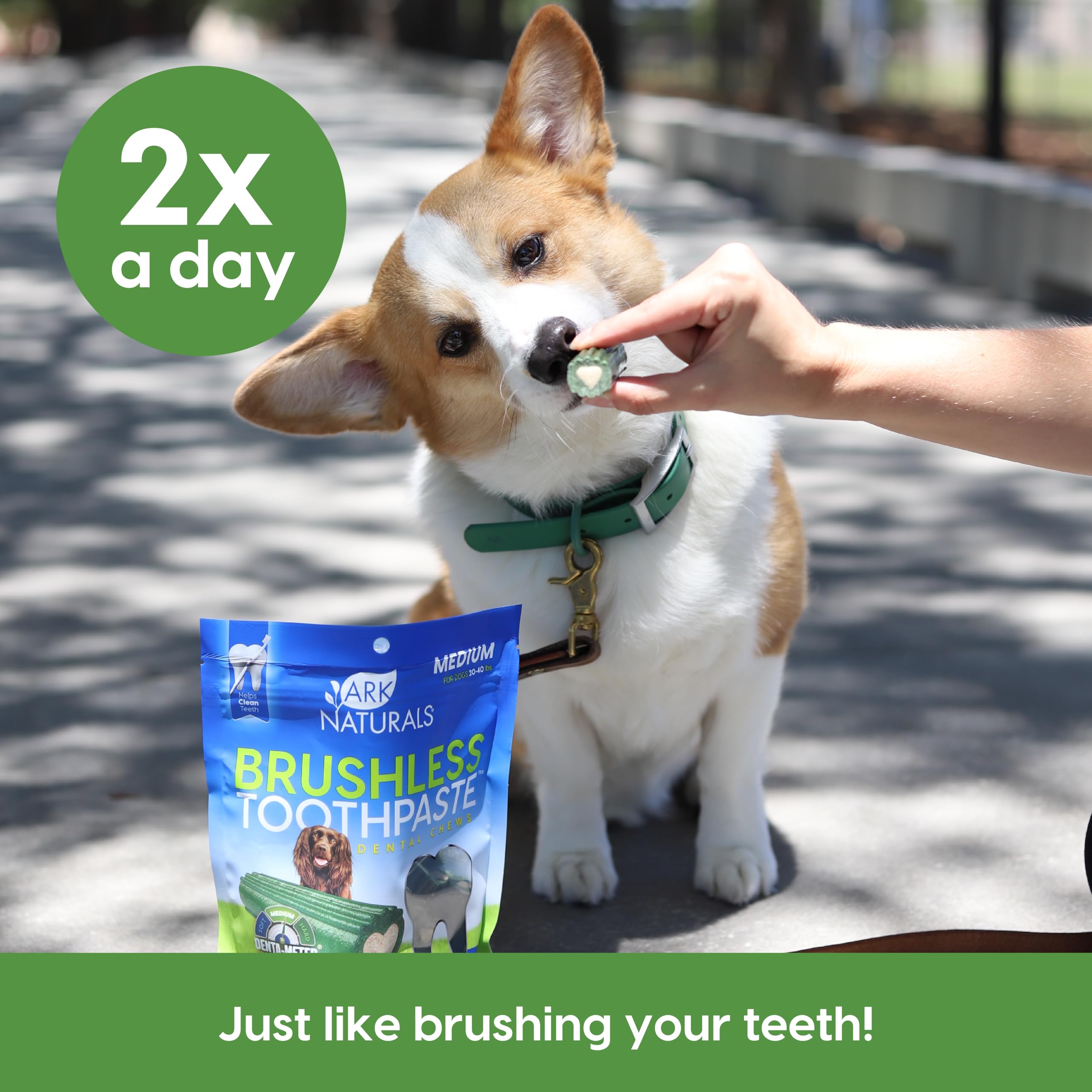 ARK NATURALS Brushless Toothpaste safe ingredients chart notes corn, soy, wheat-free.