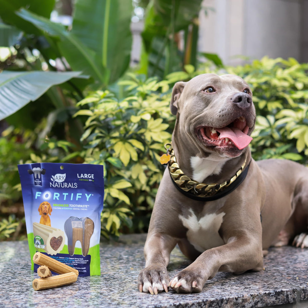 Natural ingredients refresh breath during chewing.