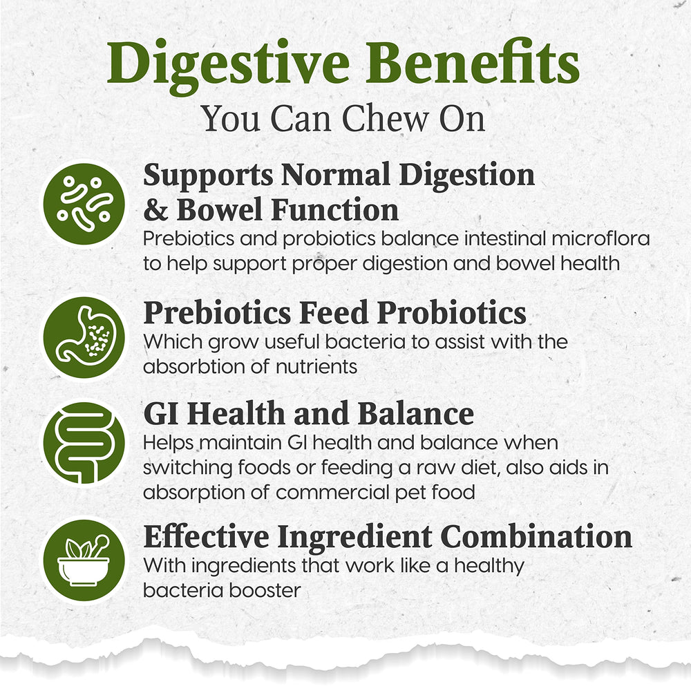 Dog enjoying ARK NATURALS Gentle Digest treat for digestive support.