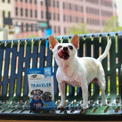 Close-up of ARK NATURALS Happy Traveler soft chews highlighting natural ingredients for mood support