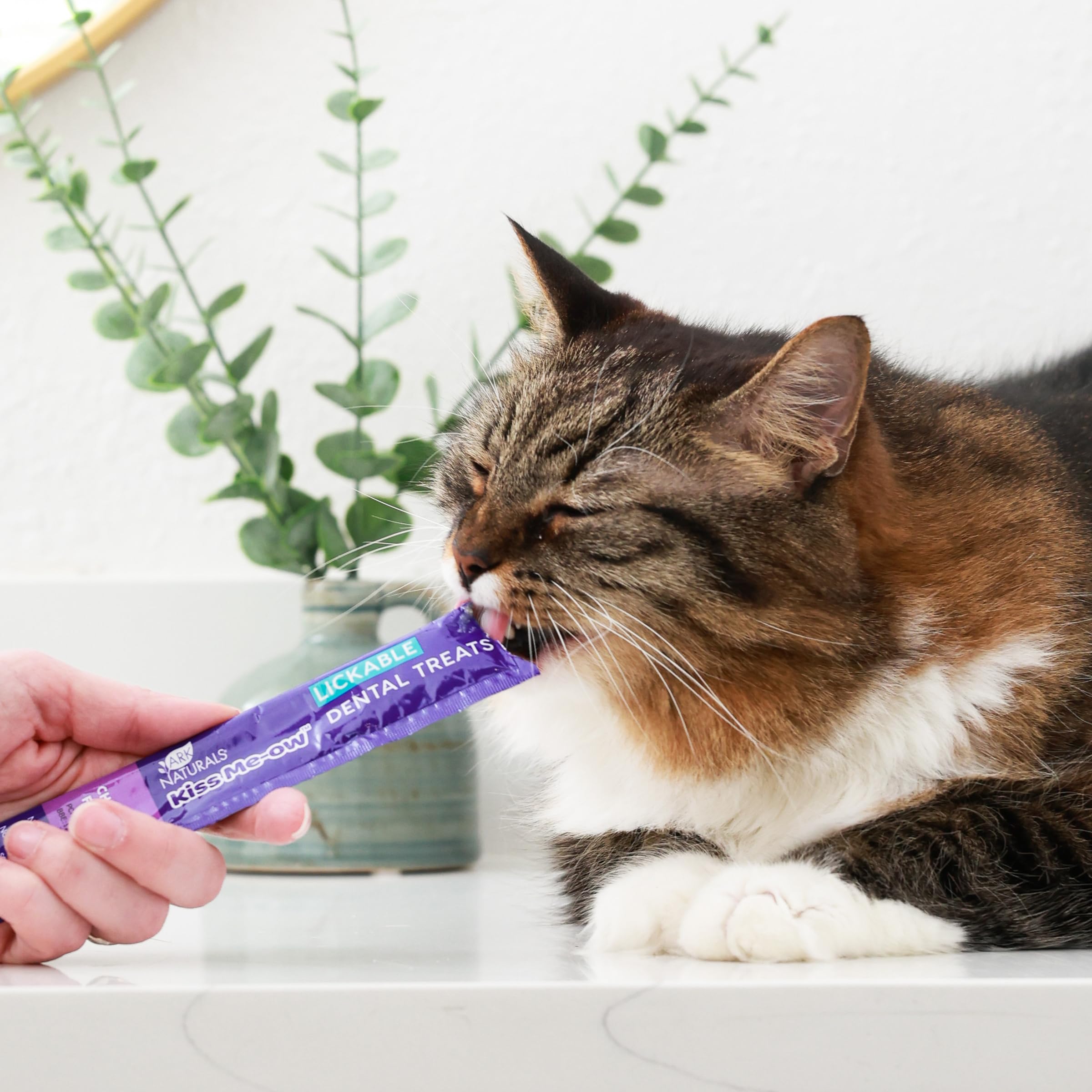 ARK NATURALS Kiss Me-Ow tuna flavor promotes hydration and fresh breath