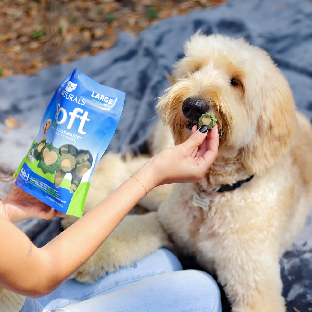 Ark Naturals soft-baked texture emphasizes gentle chewing for large breeds.