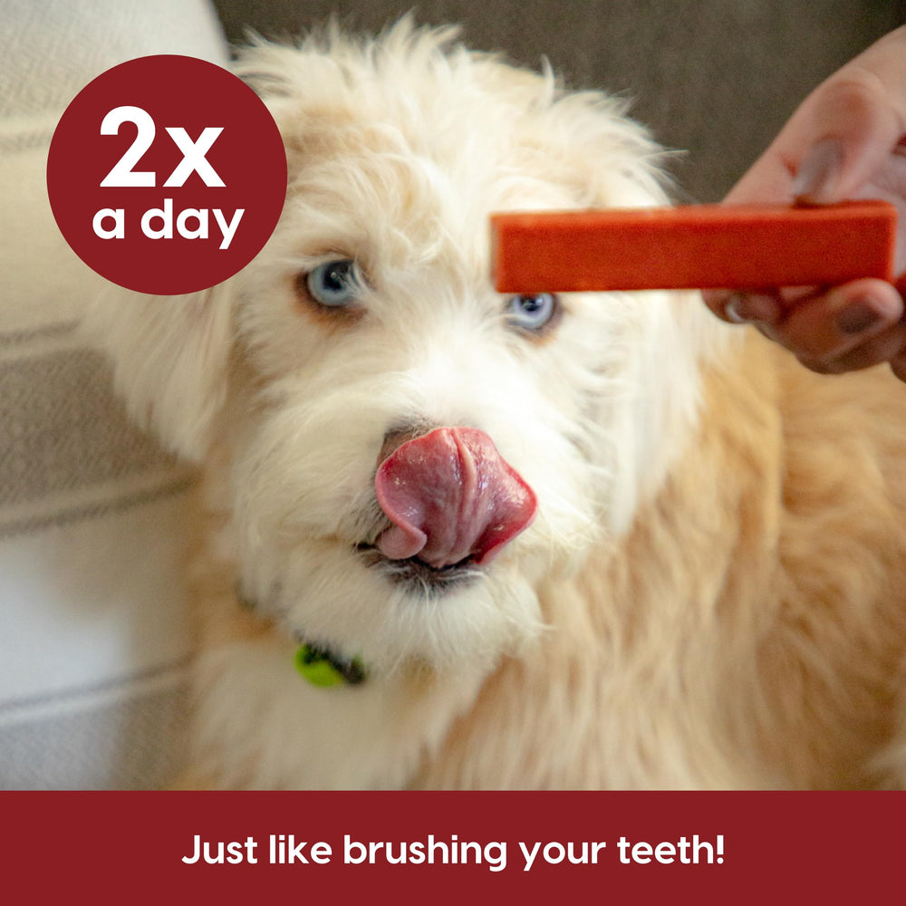 Ark Naturals Protection+ 54oz bag provides long-lasting dental support for active households