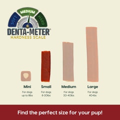 Ark Naturals Protection+ astaxanthin boost highlights antioxidant support in chews.