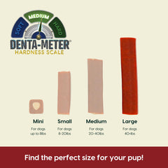 ARK NATURALS Protection+ chews show natural breath-freshening ingredients like cinnamon and vanilla.