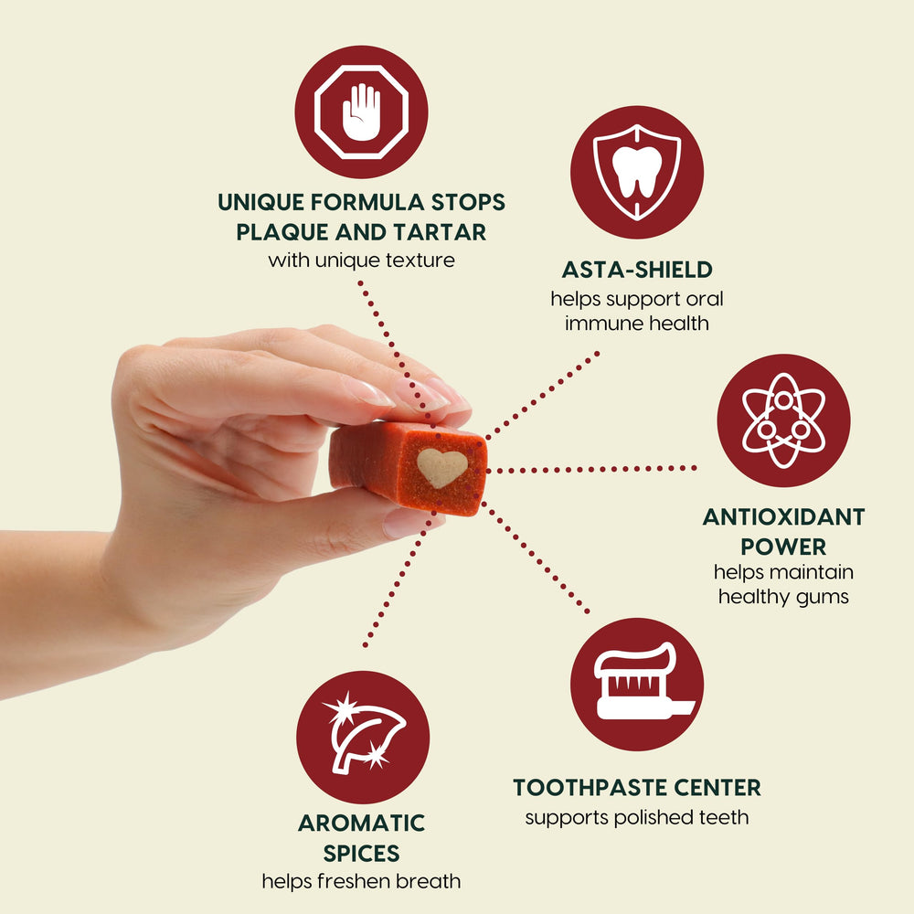 ARK NATURALS Protection+ dental chews with toothpaste center clean teeth and freshen breath.