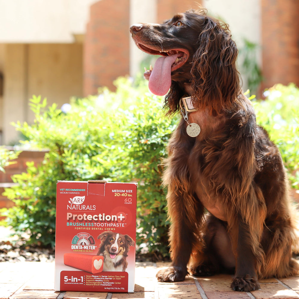 Ark Naturals Protection+ USA-made chews emphasize quality ingredients and careful crafting
