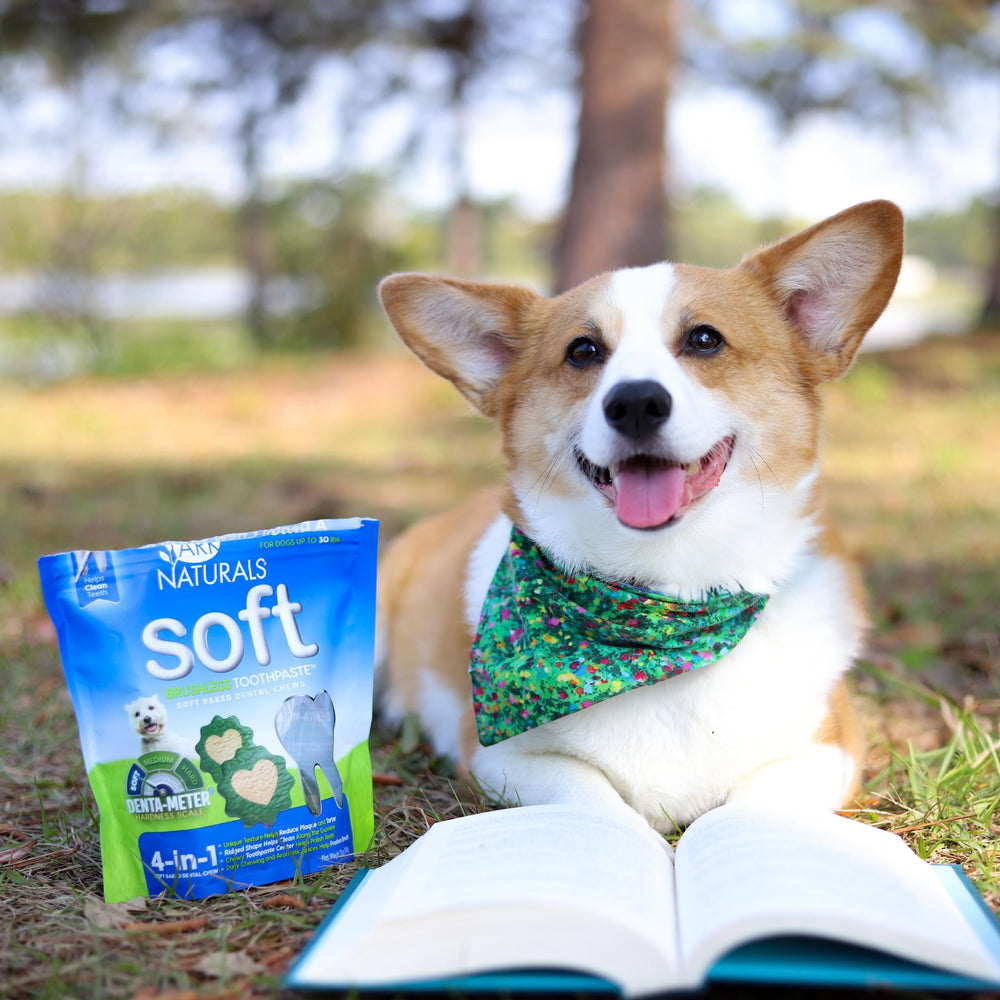 ARK NATURALS small breed dental care chews ready for daily use.