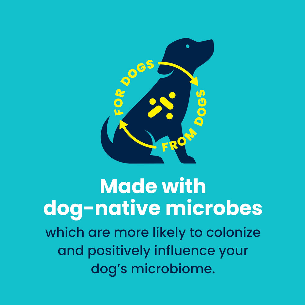 ARKUS Daily Enterococcus faecium detail signals immune system support.
