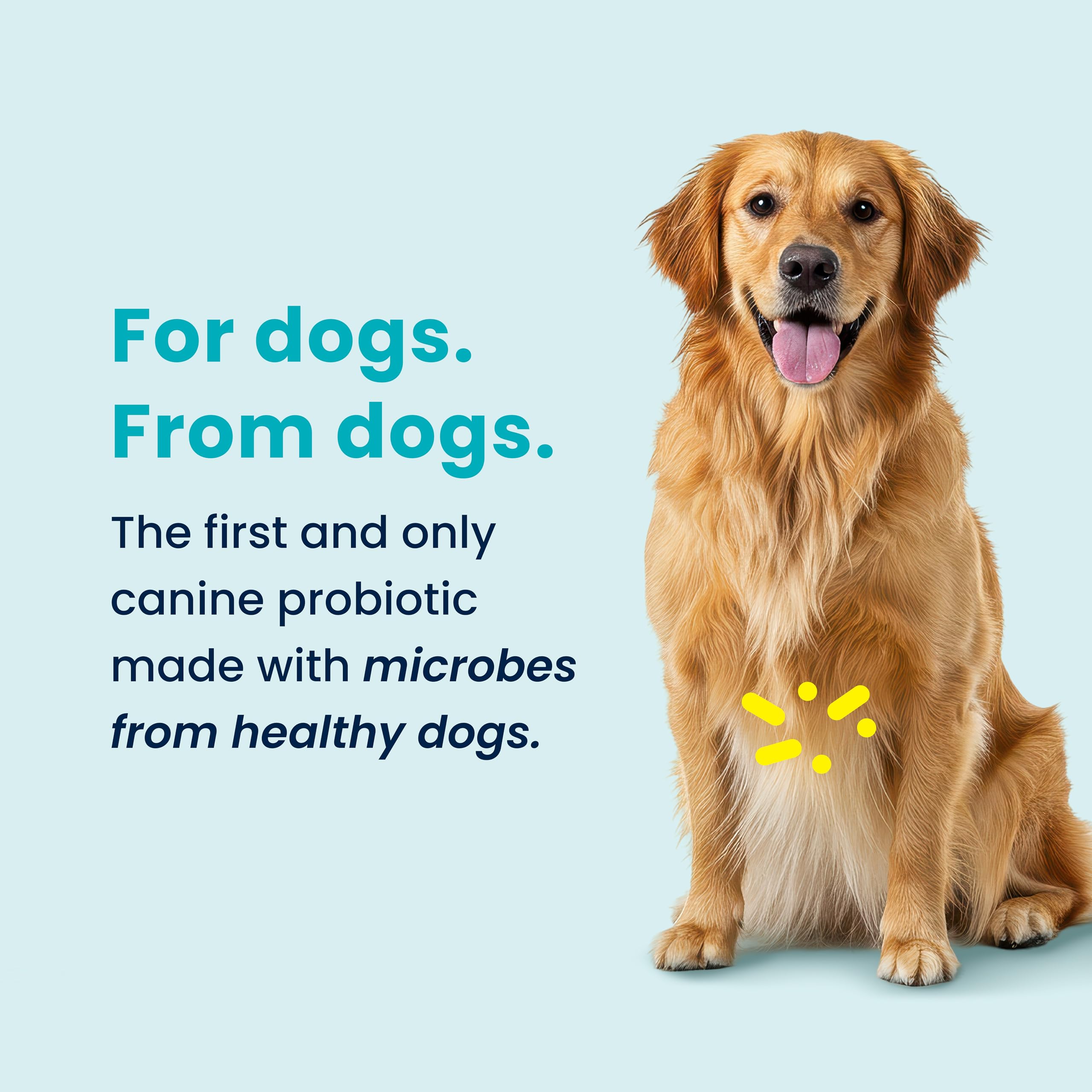 ARKUS Daily Peptacetobacter hiranonis detail emphasizes gut health support.