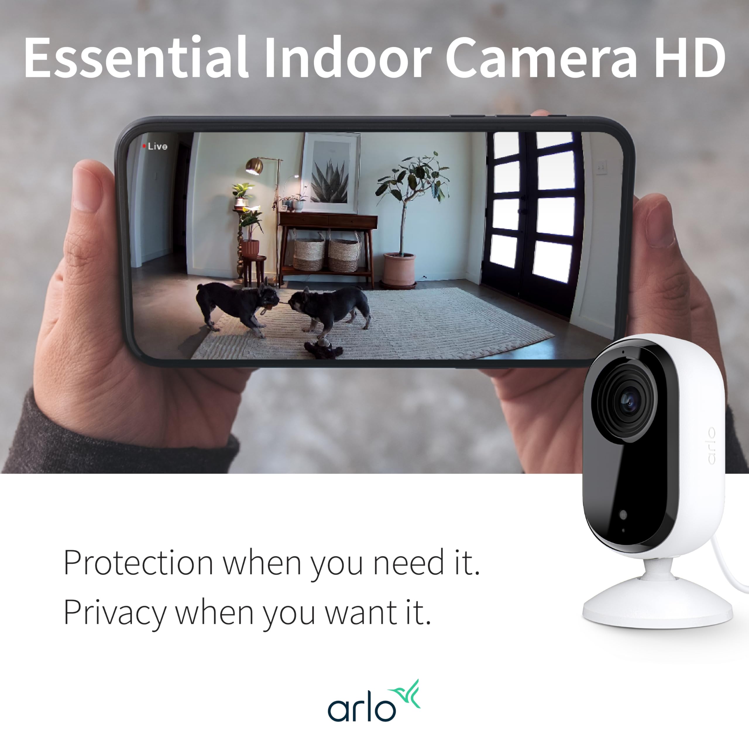 Arlo Essential Indoor Camera HD DIY setup guided in the app.