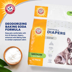Arm & Hammer for Pets diaper core with baking soda odor control