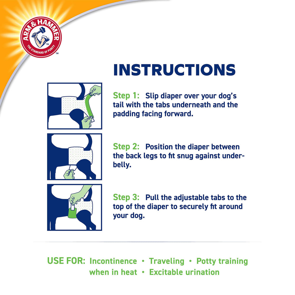 Arm & Hammer for Pets dog wearing diaper during daily activity