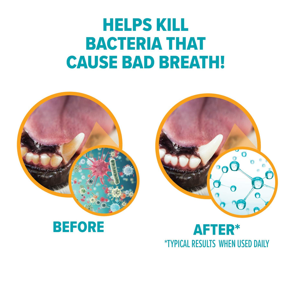 Arm & Hammer for Pets enzymatic cleaning action graphic shows brushing action.