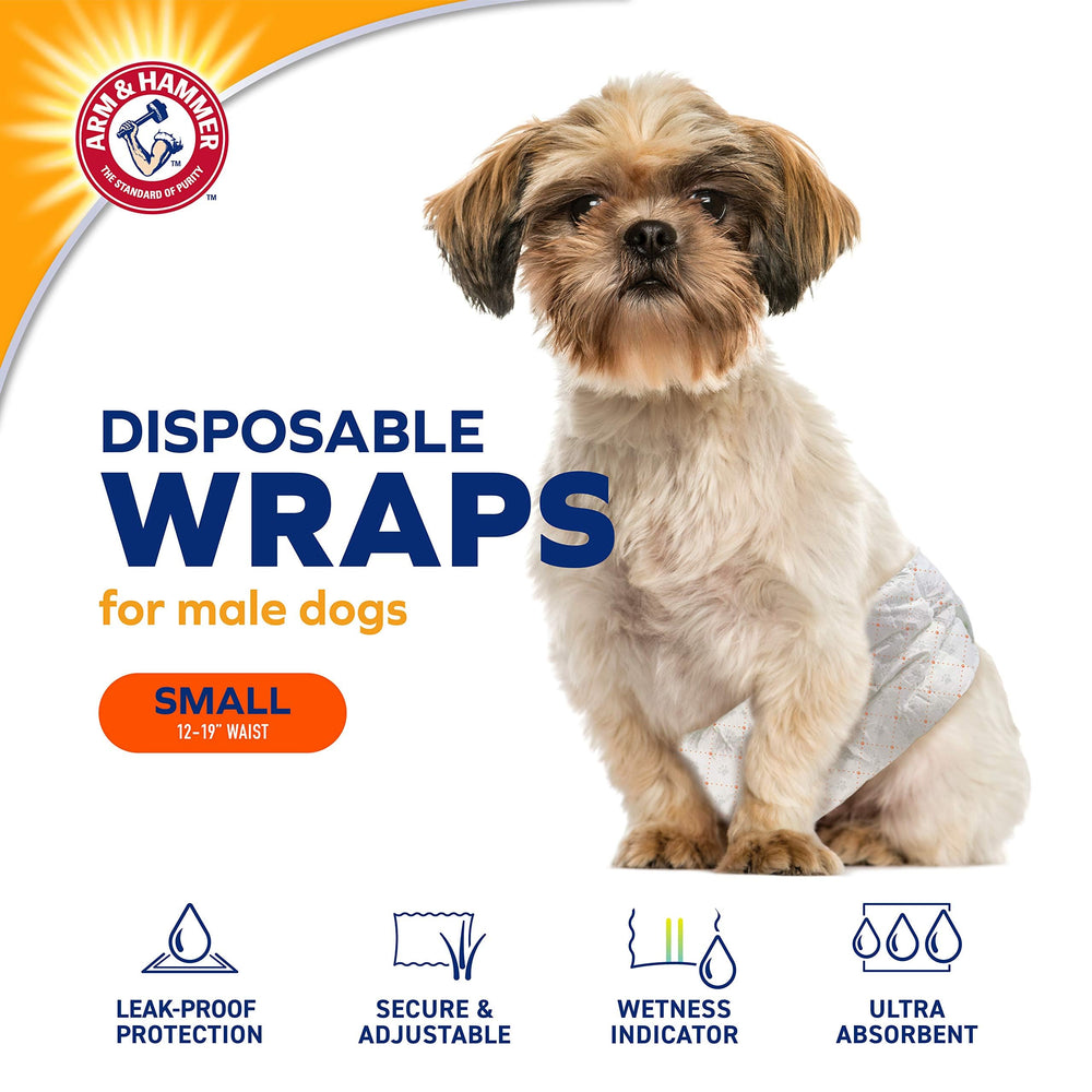 Arm & Hammer small male dog wrap wear test demonstrates natural movement during play.