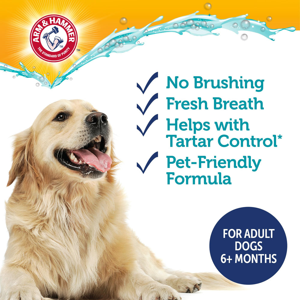 Arm & Hammer Complete Care 16 oz bottle on the counter for extended supply.