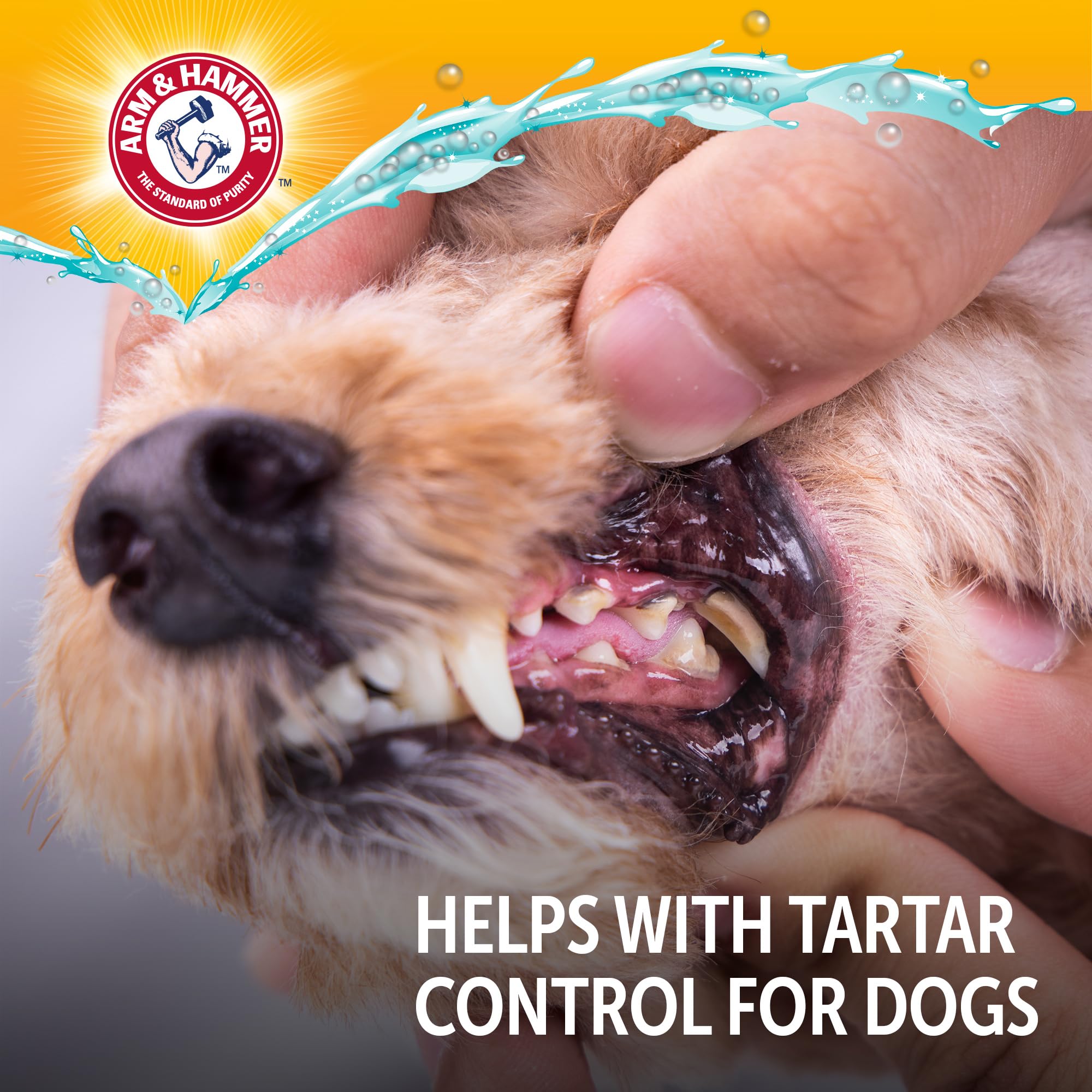 Arm & Hammer Complete Care supports enamel and gum health in homes with multiple dogs.