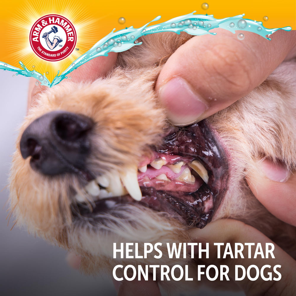 Arm & Hammer Complete Care supports enamel and gum health in homes with multiple dogs.