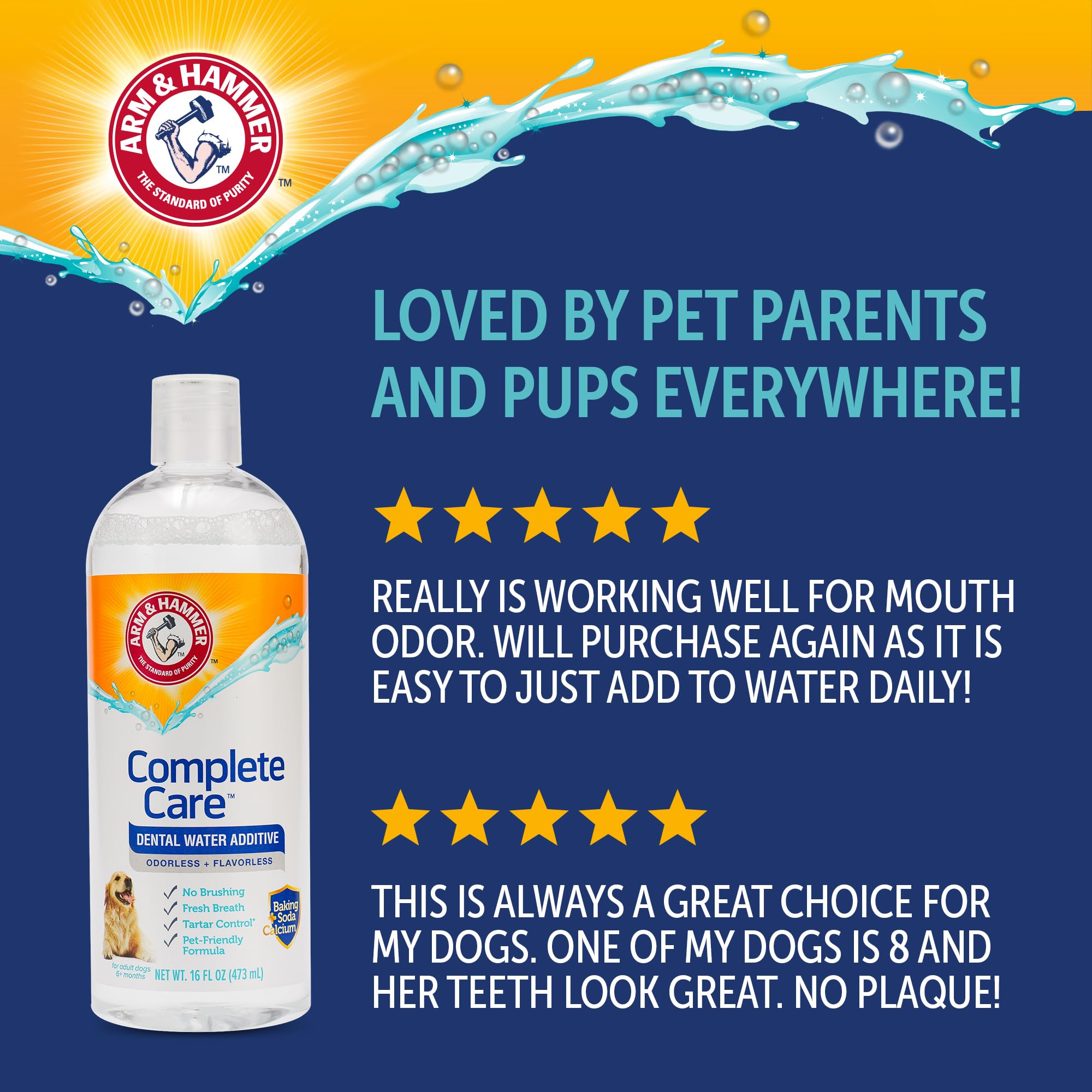 Arm & Hammer Complete Care fluoride-free, safe for daily use in adult dogs.