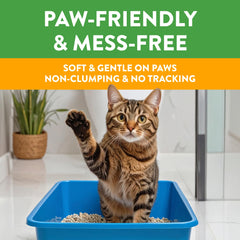Pine shavings provide high absorbency to help keep the box dry.