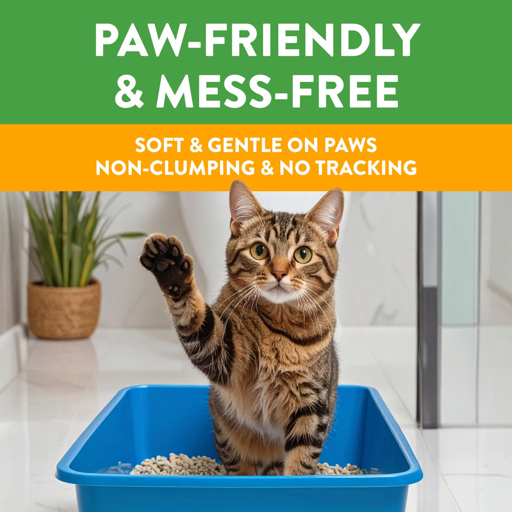 Arm & Hammer Feline Pine Platinum reclaimed pine source supports sustainable litter choices.