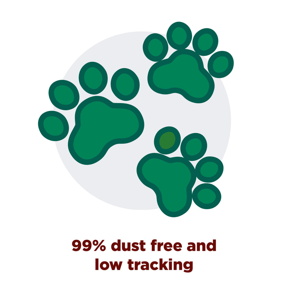 Multi-cat friendly Forever Fresh Cedarwood litter for busy homes.