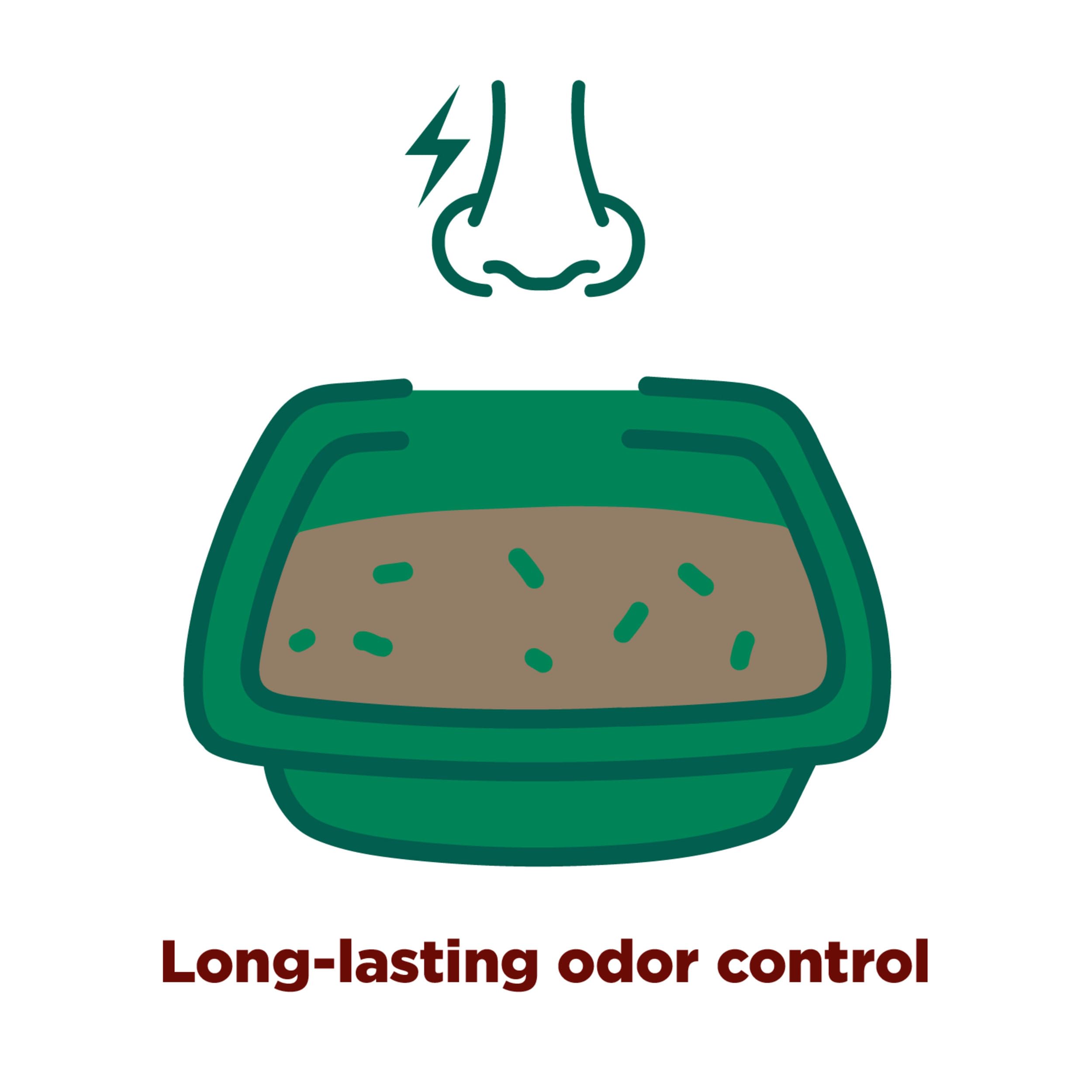 Pouring Arm & Hammer Forever Fresh Cedarwood litter into a litter box.