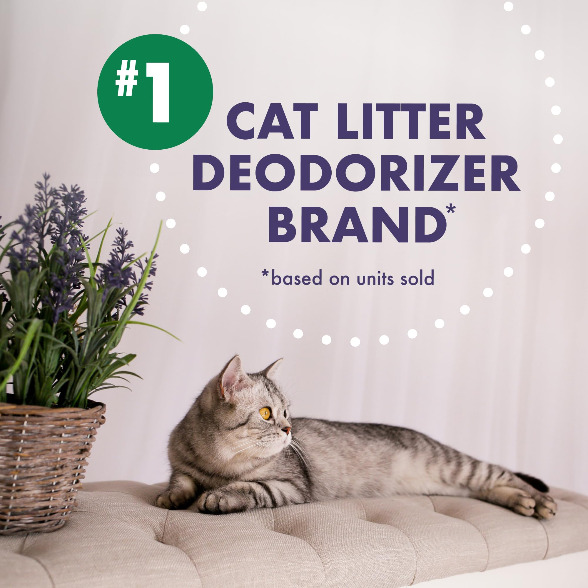 Arm & Hammer Forever Fresh being sprinkled on litter to neutralize odors.