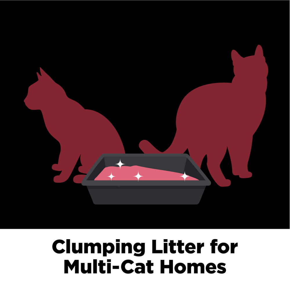 Multi-cat home ready for Arm & Hammer litter box use.