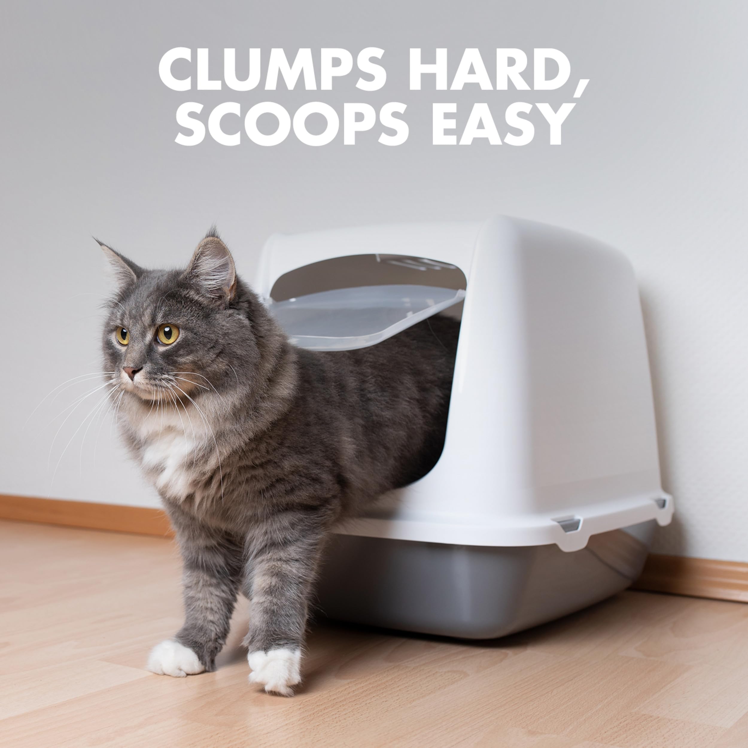 Arm & Hammer Naturals litter scoop demonstrates easy cleanup after use.